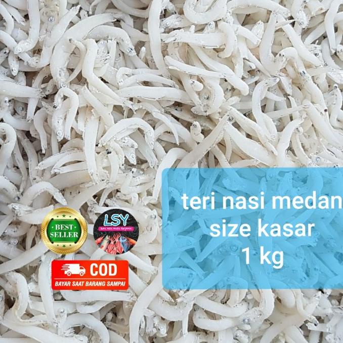 

Promo ikan asin teri nasi medan / tn putih / size jumbo 1kg