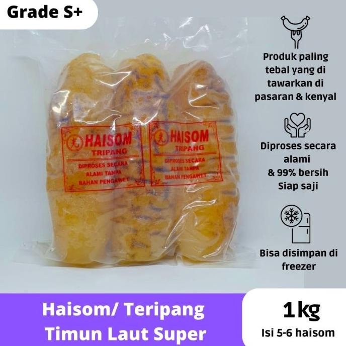 

Promo Haisom Teripang SUPER bangka belitung tripang basah siap masak beku