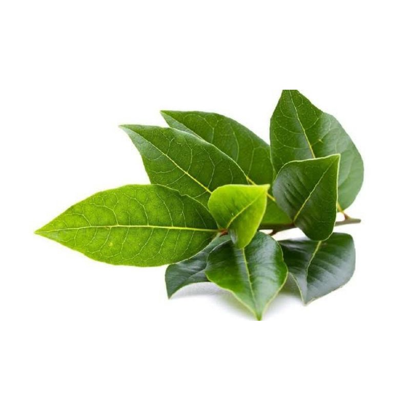 

Daun salam _ per ikat