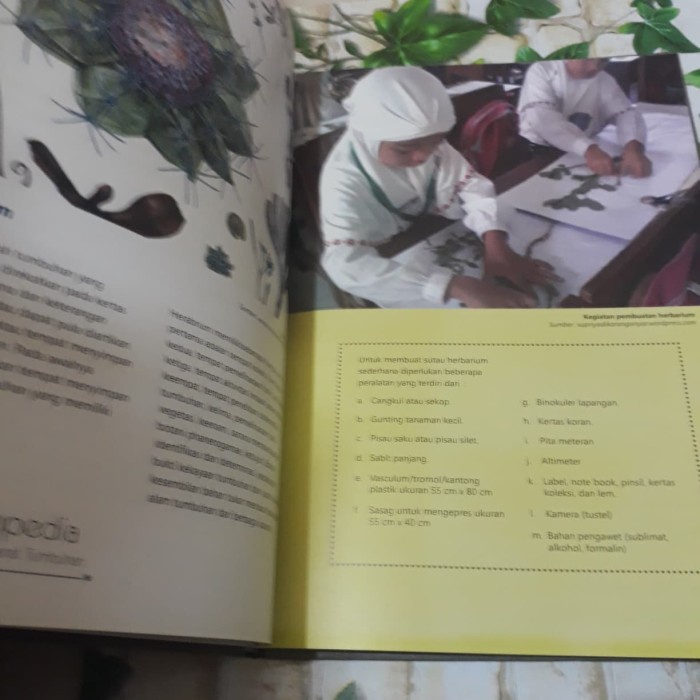 Promo Buku Original Ensiklopedia Lengkap Preparat Tumbuhan Termurah