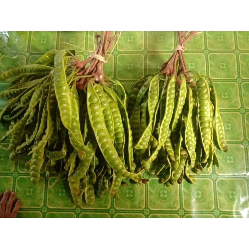 

buah pete petai kampung /papan