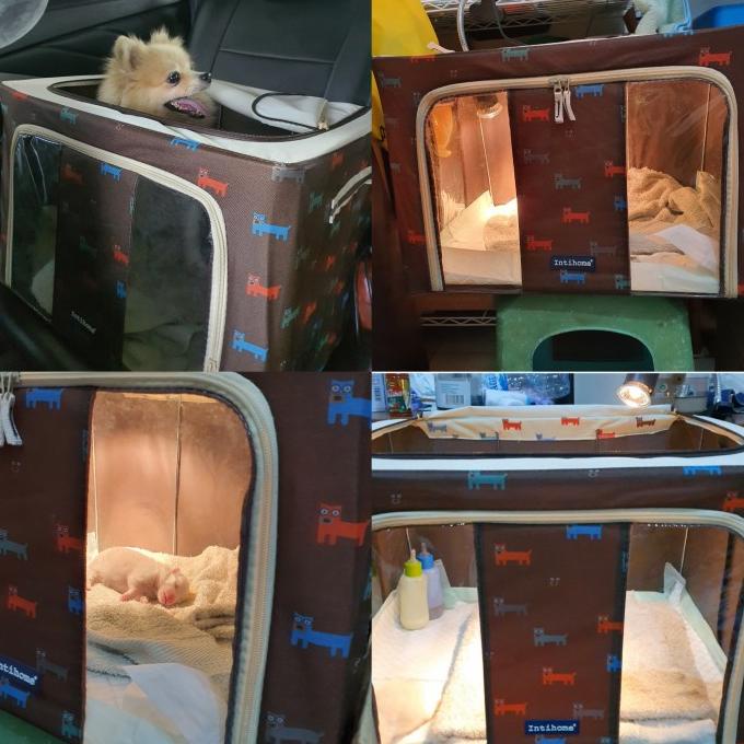KERANJANG ANJING - KANDANG ANJING - KANDANG PORTABLE HEWAN