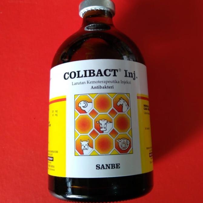 JUALJUAL COLIBACT Injeksi 100 ml - Obat Infeksi Pencernaan, Kemih, Pernafasan