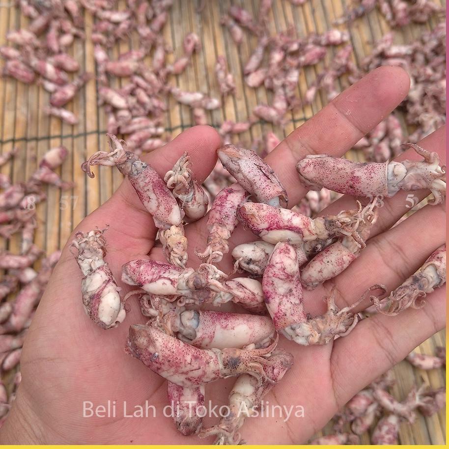 

COD | FG2 | Baby Cumi Rebus Asin - Ikan Asin 1Kg