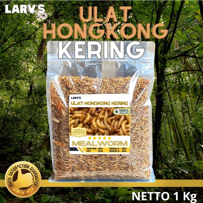 Ulat Hongkong Kering 1 kg Snack Hewan peliharaan