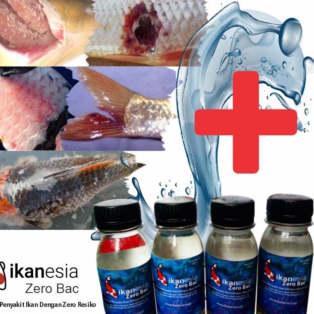 Import Terlaris Ikanesia - Zero Bac 100 ml Ampuh Untuk Penyakit Ikan Koi, Mas Koki, Arwana, Channa buruan