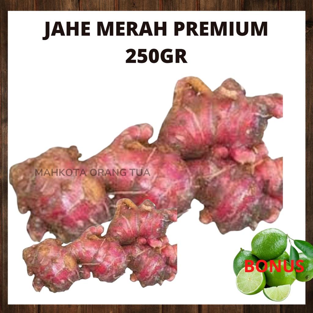 

JAHE MERAH FRESH 250GR [ TERMURAH BERKUALITAS ]