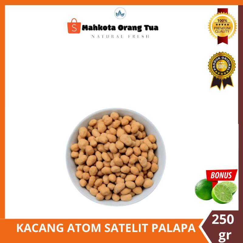 

Kacang Atom Satelit Palapa | Kacang Telur Oven | 250 gr [ TERMURAH BERKUALITAS ]