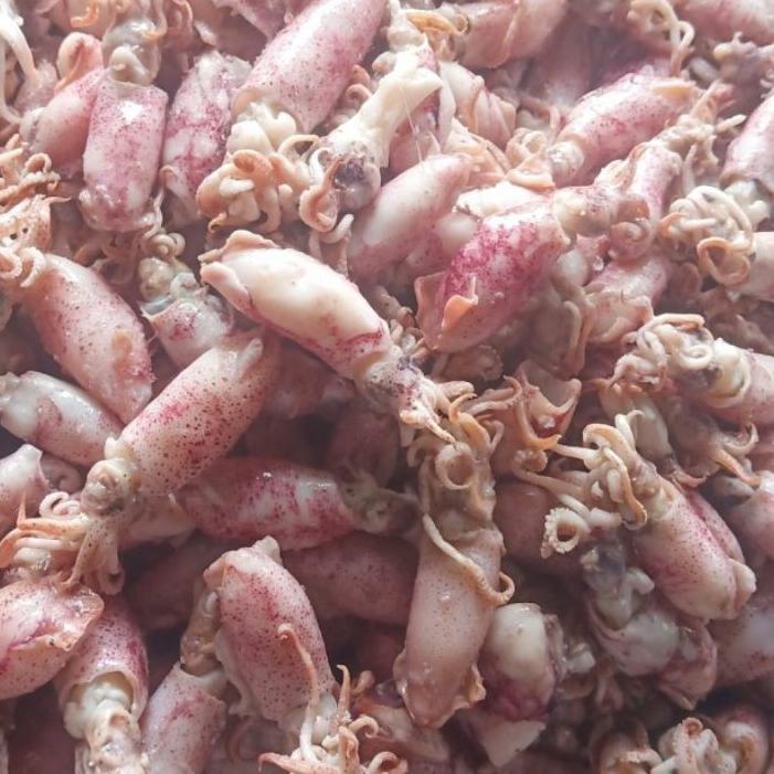 

Original Ikan asin cumi Beby 500gr 1sampai 4cm/cumi asin baby /rebus/basa/cumi asin baby 