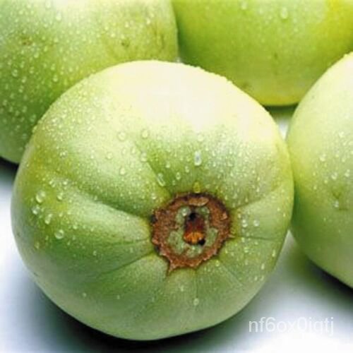 

ลพSweetมMelon็Baru30Tahunธน+ ัBiji Melon์ ด/ 2023ุ! Honey/เSeeds E8IU