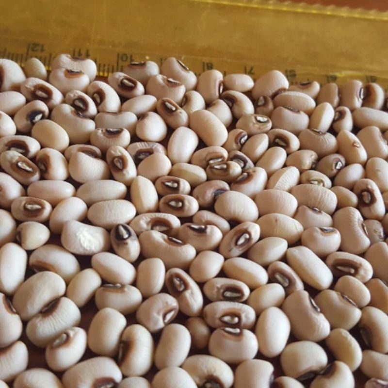 

Kacang Tunggak putih | kacang Tolo 1kg bersih