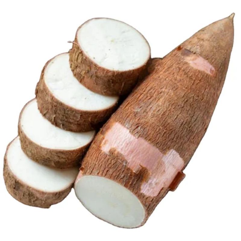 

SINGKONG