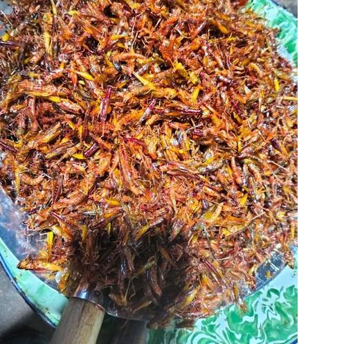 

Limited ⭐✔️ Belalang Goreng kemasan 500 gram Murah!!