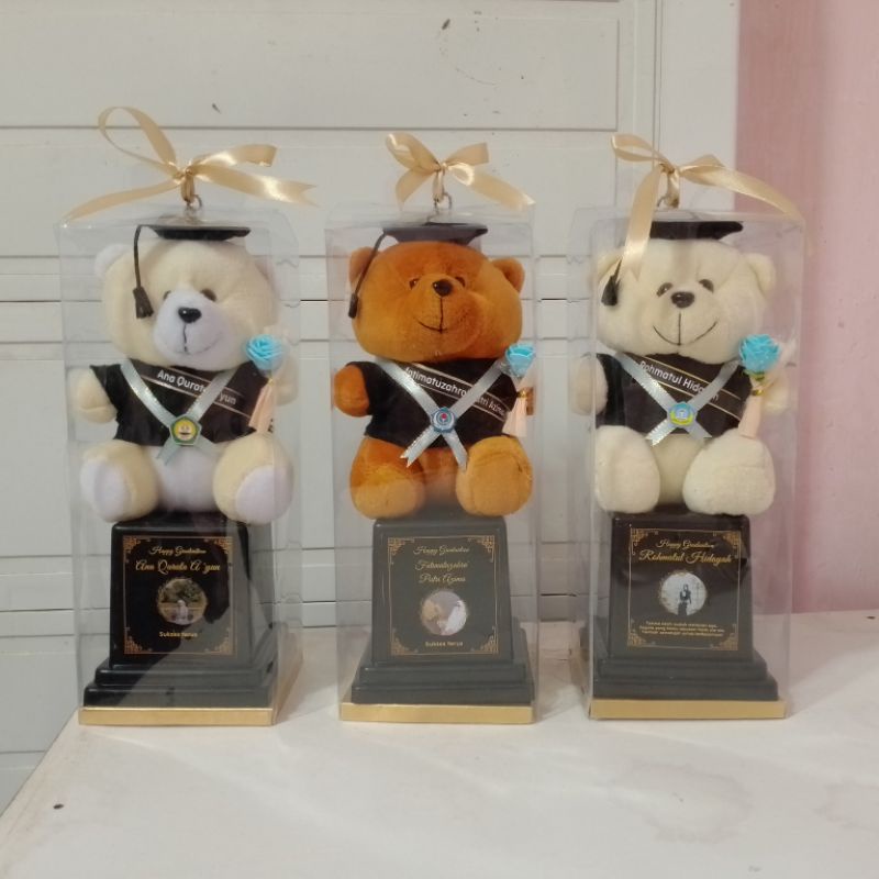 

piala boneka wisuda/ boneka wisuda custom