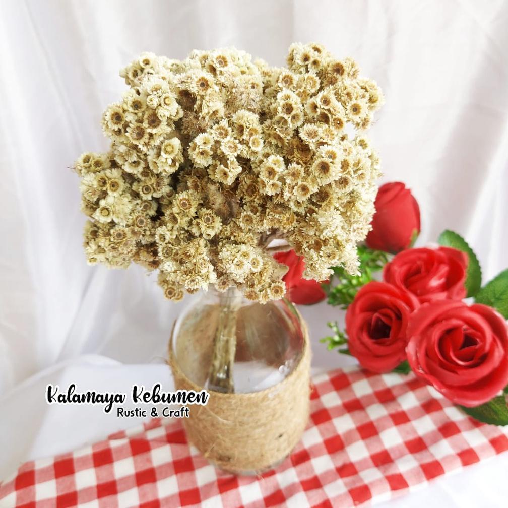 Vas Estetik Goni Edelweis Budidaya Hiasan Vas Buket Bunga Kering Dried Flowers Dekorasi Kamar Hiasan
