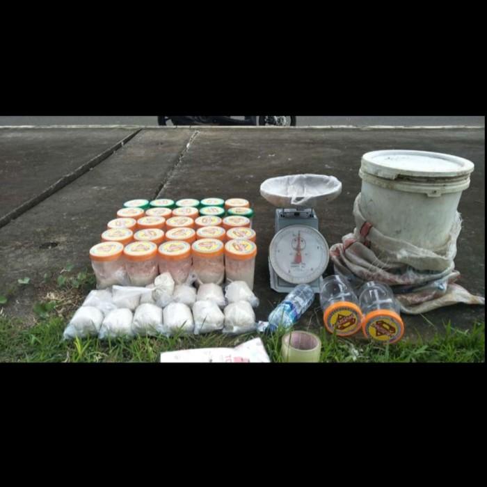 Terlaris Umpan Kucur Bau Sugiono S1 & S1 Super Viral