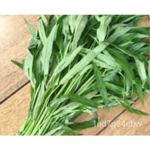 

มBibit Tanaman Sayuran+Bayam+ุ ลAsiaLa์155MuongTreัเด BenihRau /นพDaun Hijau/็ธ Q41K