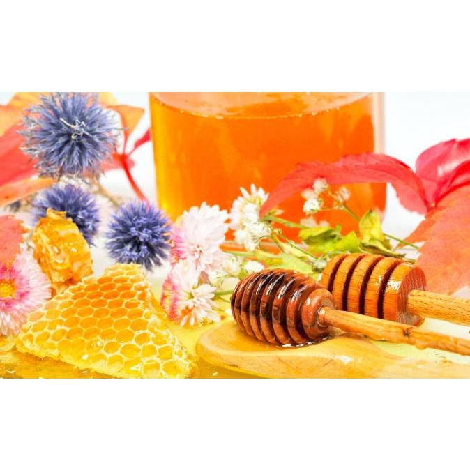 

Madu murni nusantara 650ml nov