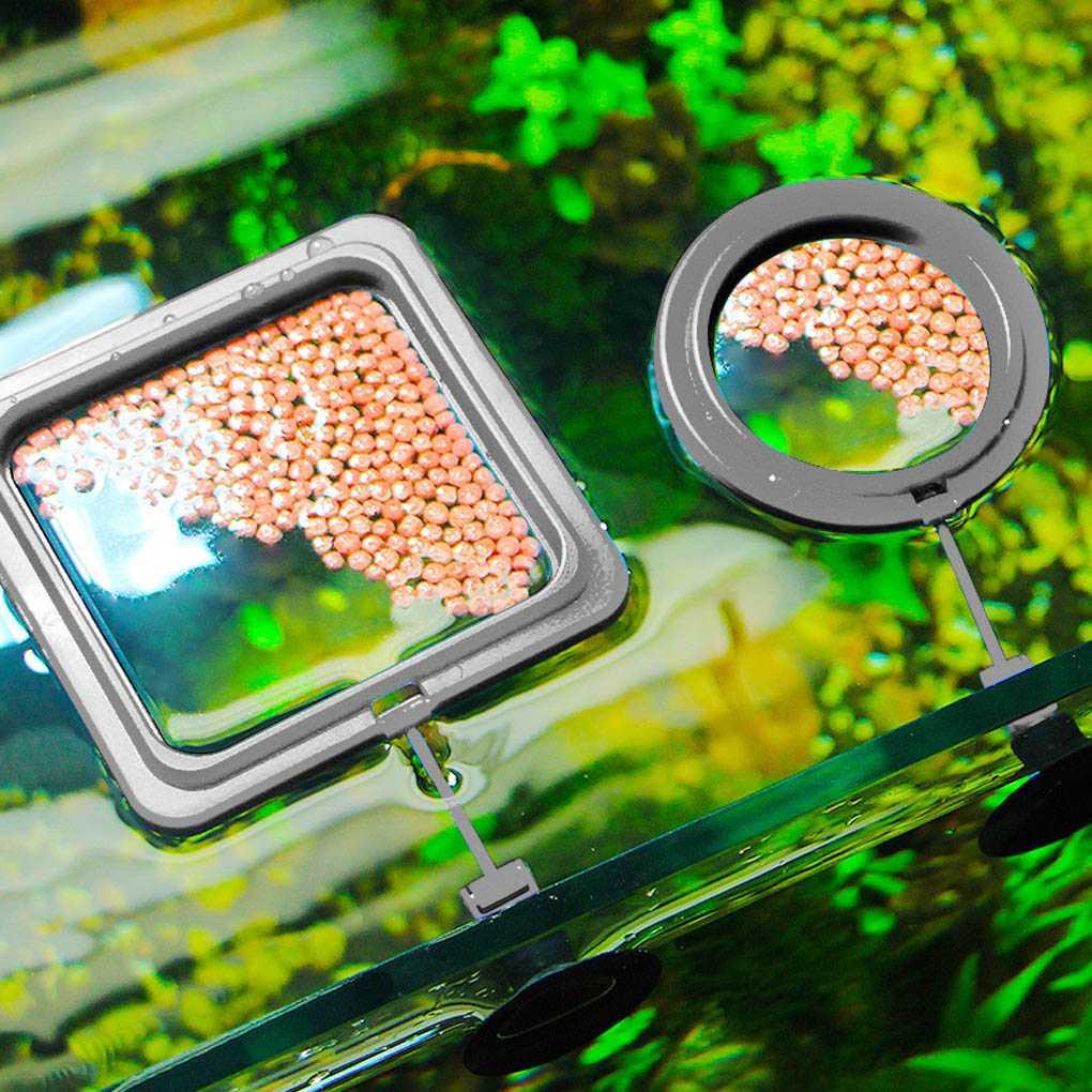 KWODE Floating Feeding Ring Aquarium Fish Feeder Tempat Pakan Ikan - KW10