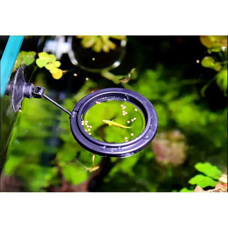 KWODE Floating Feeding Ring Aquarium Fish Feeder Tempat Pakan Ikan - KW10