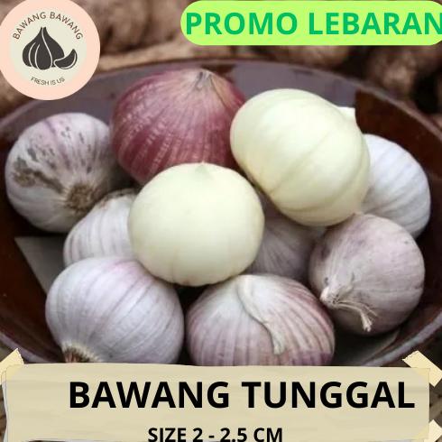 

Bawang Putih Tunggal Lanang Besar 1KG Non COD