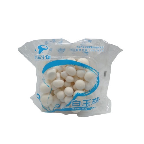 

Bandengan Shimeji Putih