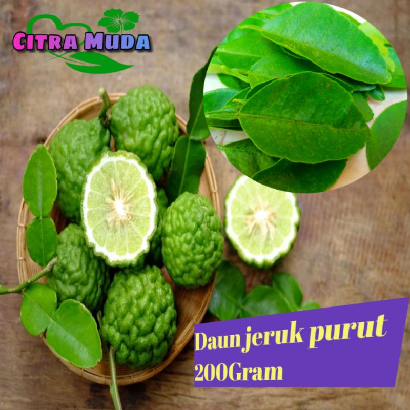 

Daun jeruk purut segar /200gram