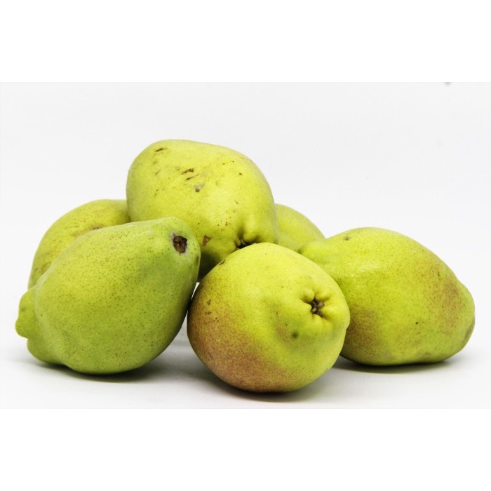 

Pear Xiang Lie - Total Buah