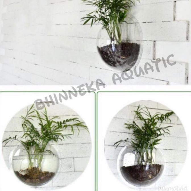 Aquarium Aqrylic Akrilik Bulat Gantung Tempel Dinding 29.5 Cm