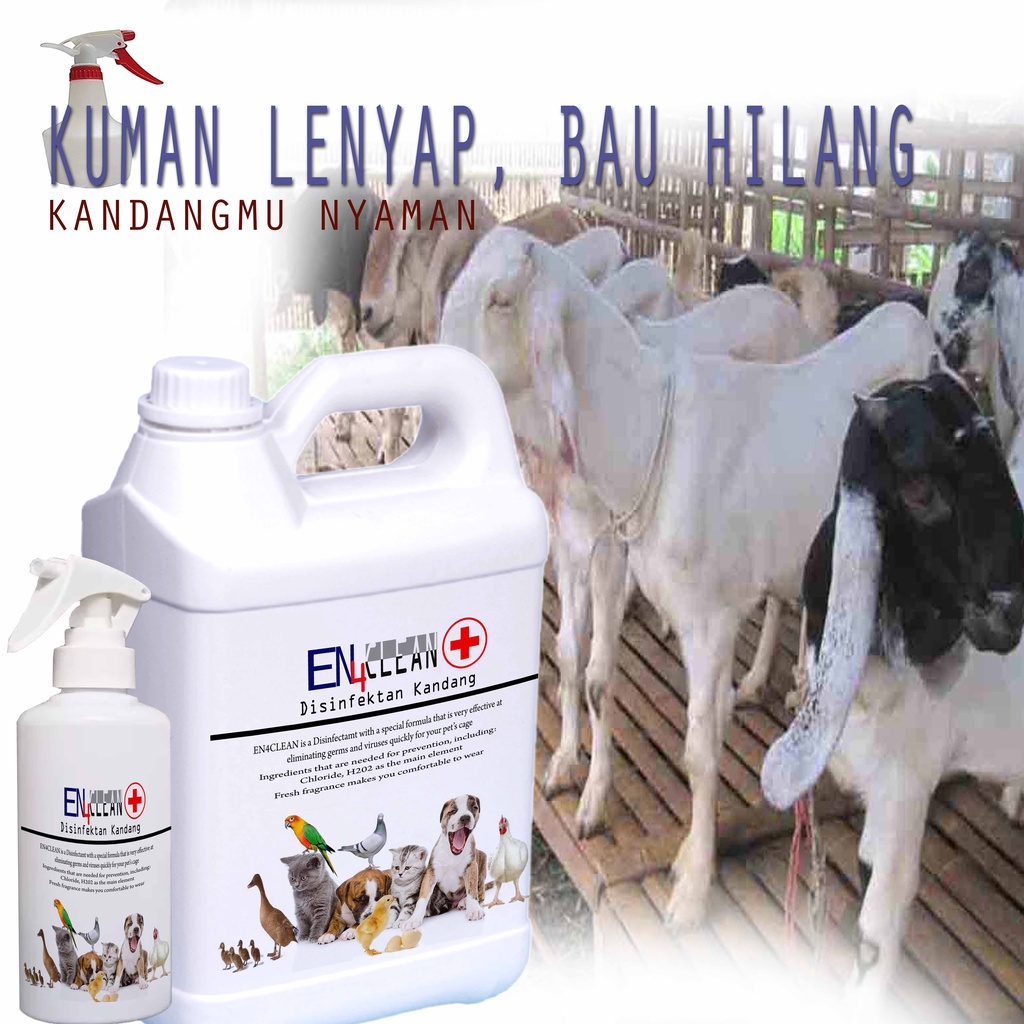 250ml-1L Spray bau kandang Desinfektan kandang kambing untuk menghilangkan kuman dan bau kotoran kambing EPS44 TK2