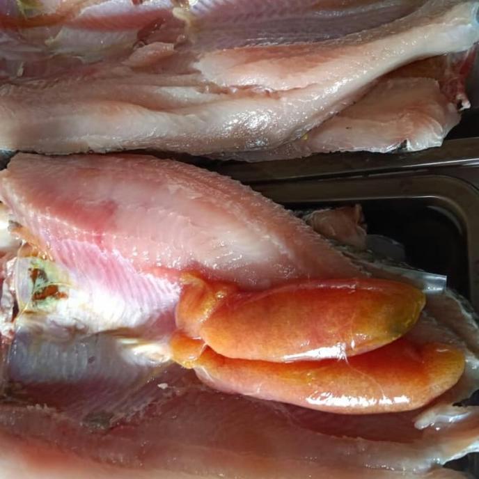 

Ikan Gabus Fresh Fillet Pulo Mawar