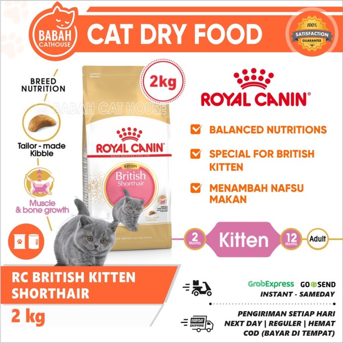 Rc British Kitten 2 Kg Royal Canin Shorthair Makanan Kucing Anak Bsh