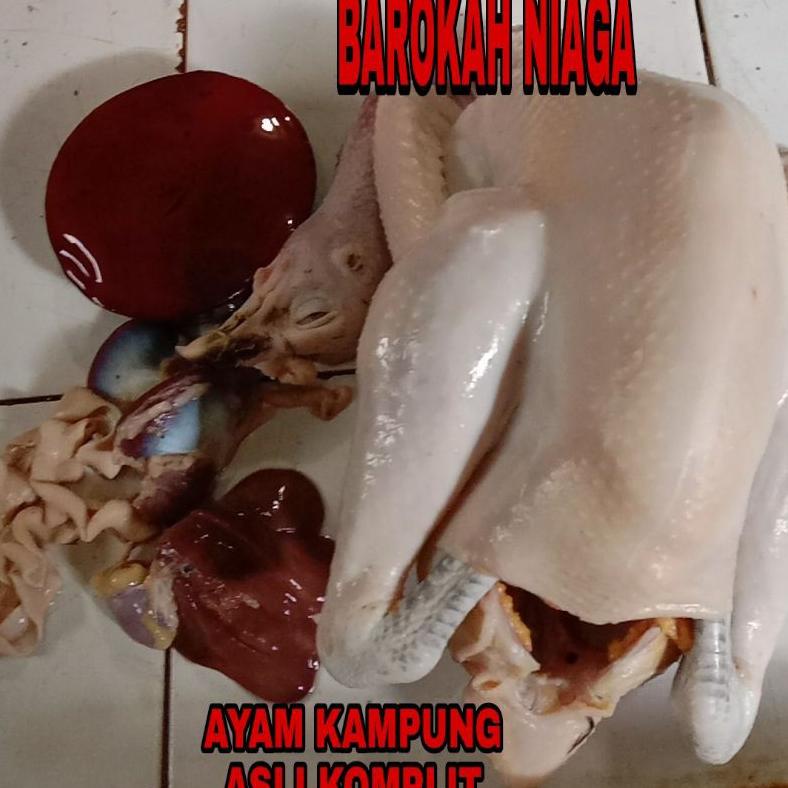 

AYAM KAMPUNG ASLI KOMPLIT PESANAN KHUSUS SEMBAHYANG ( THIAN HIO ) Best Seller