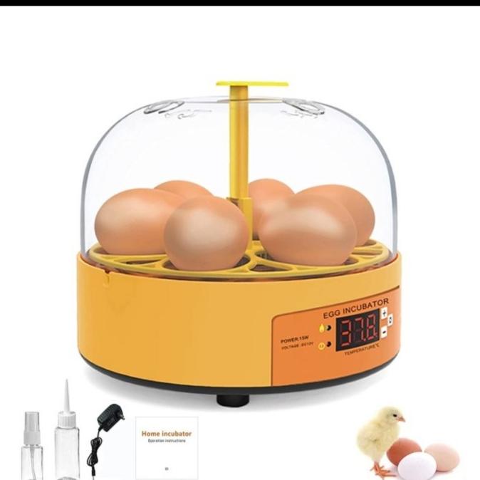 Egg Incubator Mini Penetas 6 Telor Ayam Burung Bebek Putar Kecil