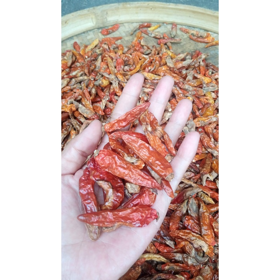 

Cabe Rawit Lokal Kering 250 gram [Reseller]