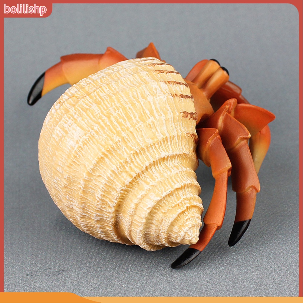 &lt;Bolilishp&gt; Simulation Hermit Crab Marine Animal PVC Model Desktop Decor Education Kids Toy