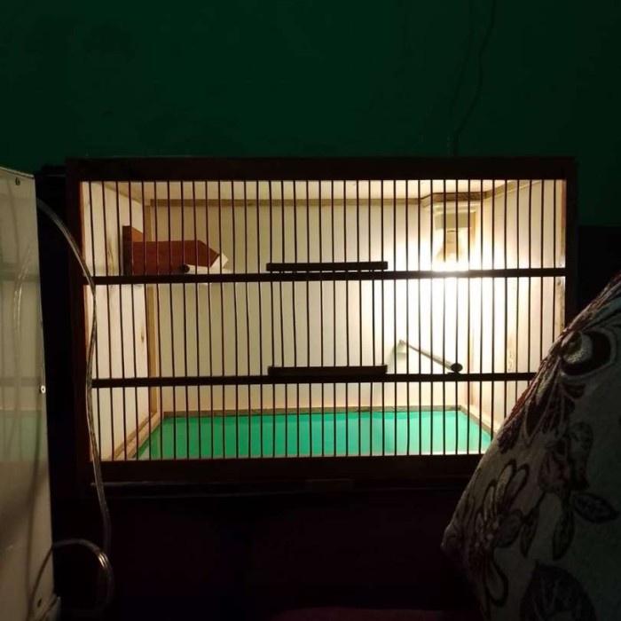 sangkar ternak kenari