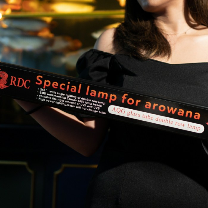 Terlaris Lampu View Rdc Arwana Arowana 143Cm + Packing Paralon Ukuran 4 Inch