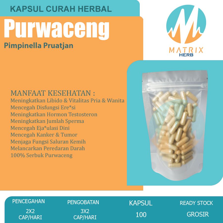 PURWACENG 100 Kapsul Curah Herbal Jamu Kuat Pria Vitalitas Libido ED