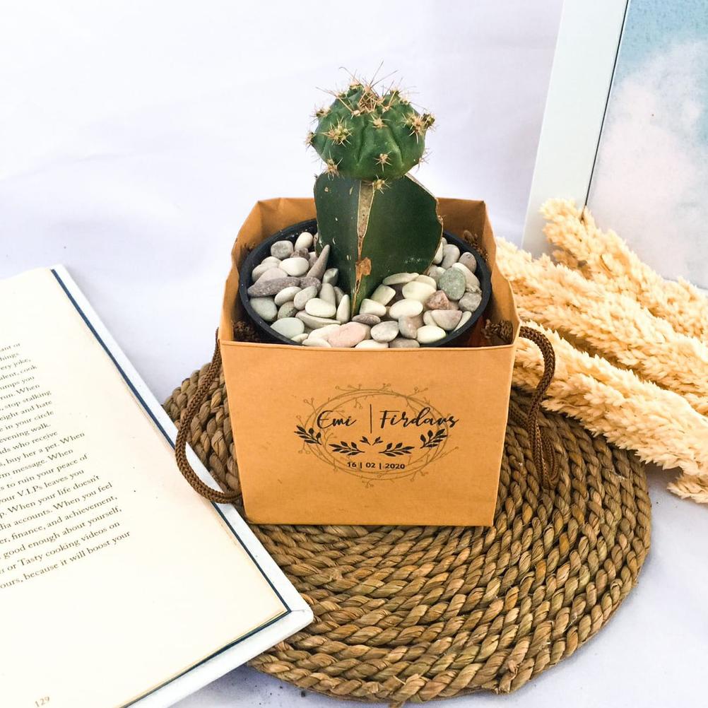 

Promo Souvenir Kaktus & Sukulen Hias Mini Paperbag