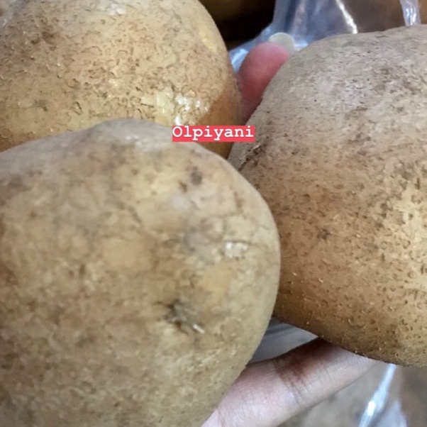 

5.5 COD Kentang dieng 500gram