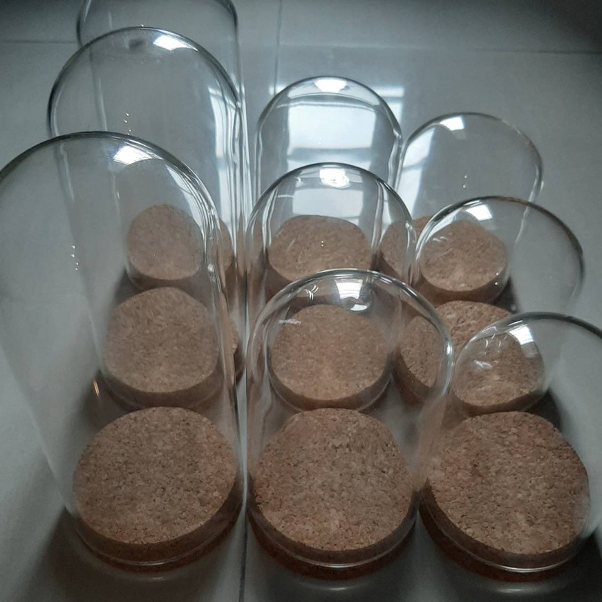 Grosiran Murah Glass Dome Bunga Kering Preserved Rose Flower 