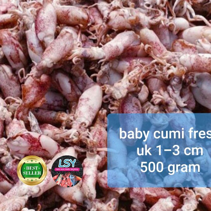 

12.12 Promo Brand ikan asin baby cumi / cumi asin / cumi rebus 78 berat 500gram !!