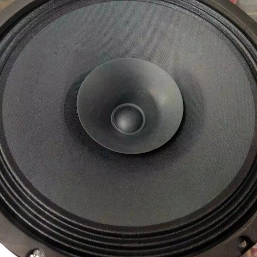 Promo Speaker Full range 12 inch CANON C 1230 PA suara