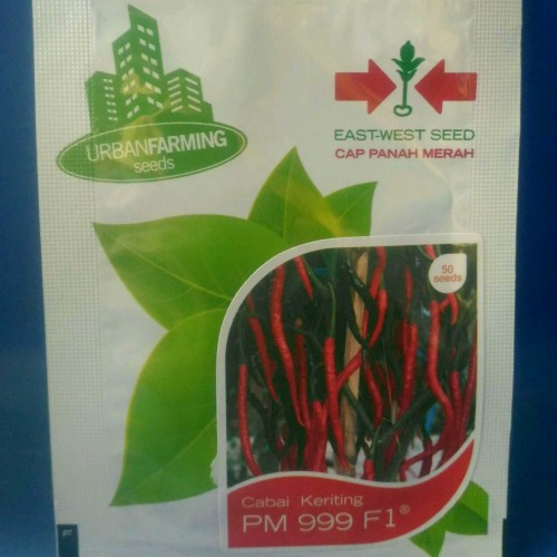Benih Bibit Biji Cabe Cabai Keriting PM 999 F1 Panah Merah