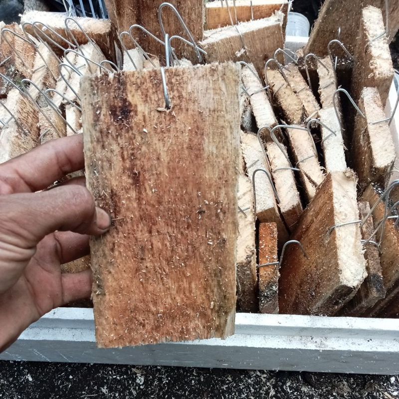 media anggrek papan kayu