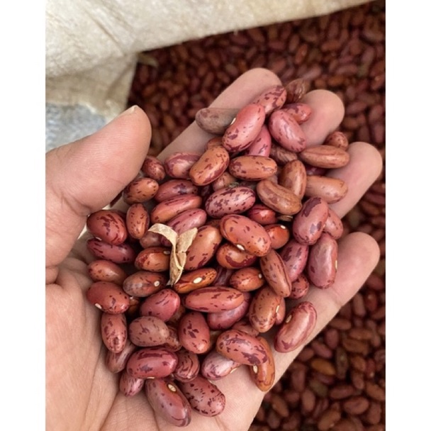 

✔️ Kacang Merah Brenebon Kacang Es
