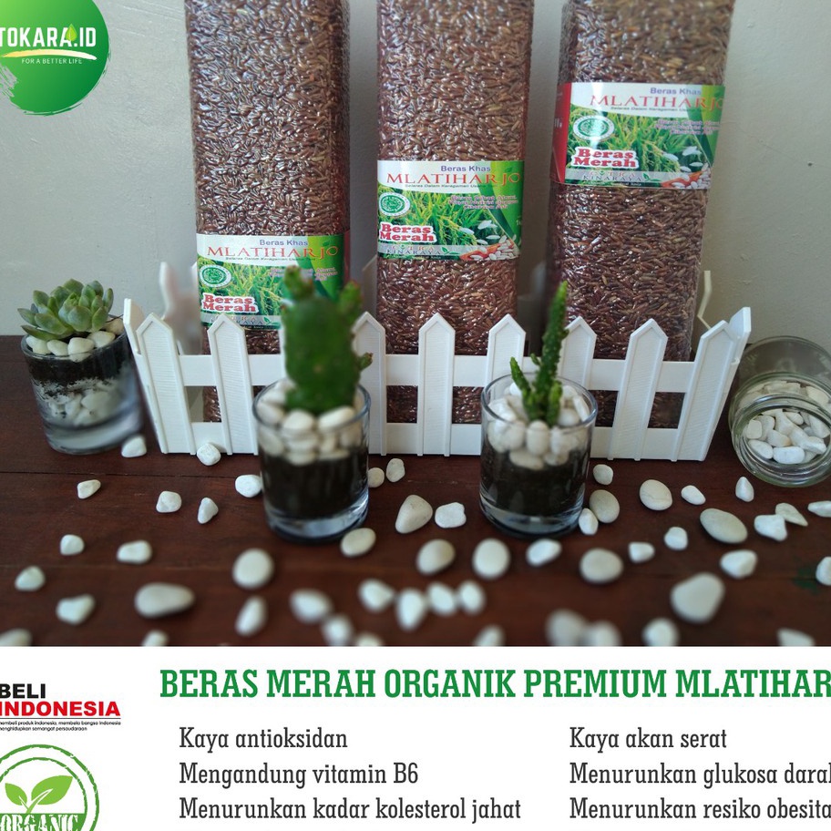 

TEBUS MURAH ✅ Beras merah organik premium (diet & MPASI )