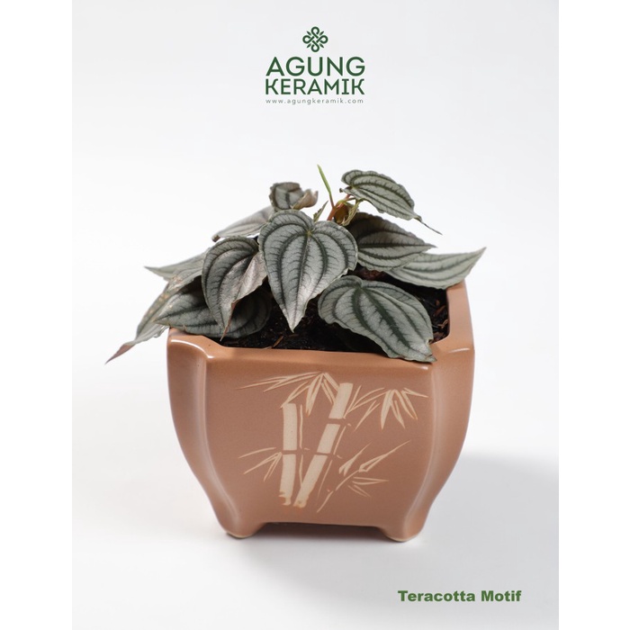 Pot Tanaman KeramikPot Bunga Keramik
