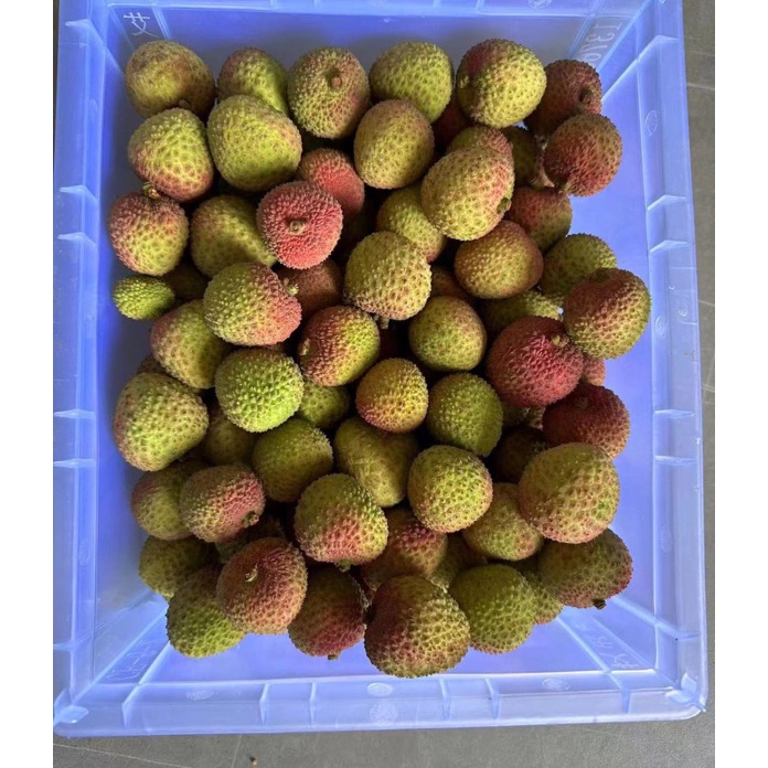 

Import ✨Terbaik✨ leci madu per bok kurleb 1kg serbuuu !